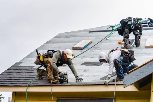 Professional Gutter Installation technician working in Eden, GA